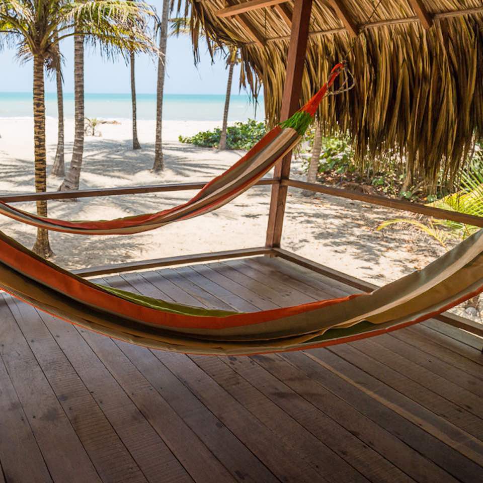 15 DAYS TO CONNECT WITH NATURE AND THE SEA, PALOMINO