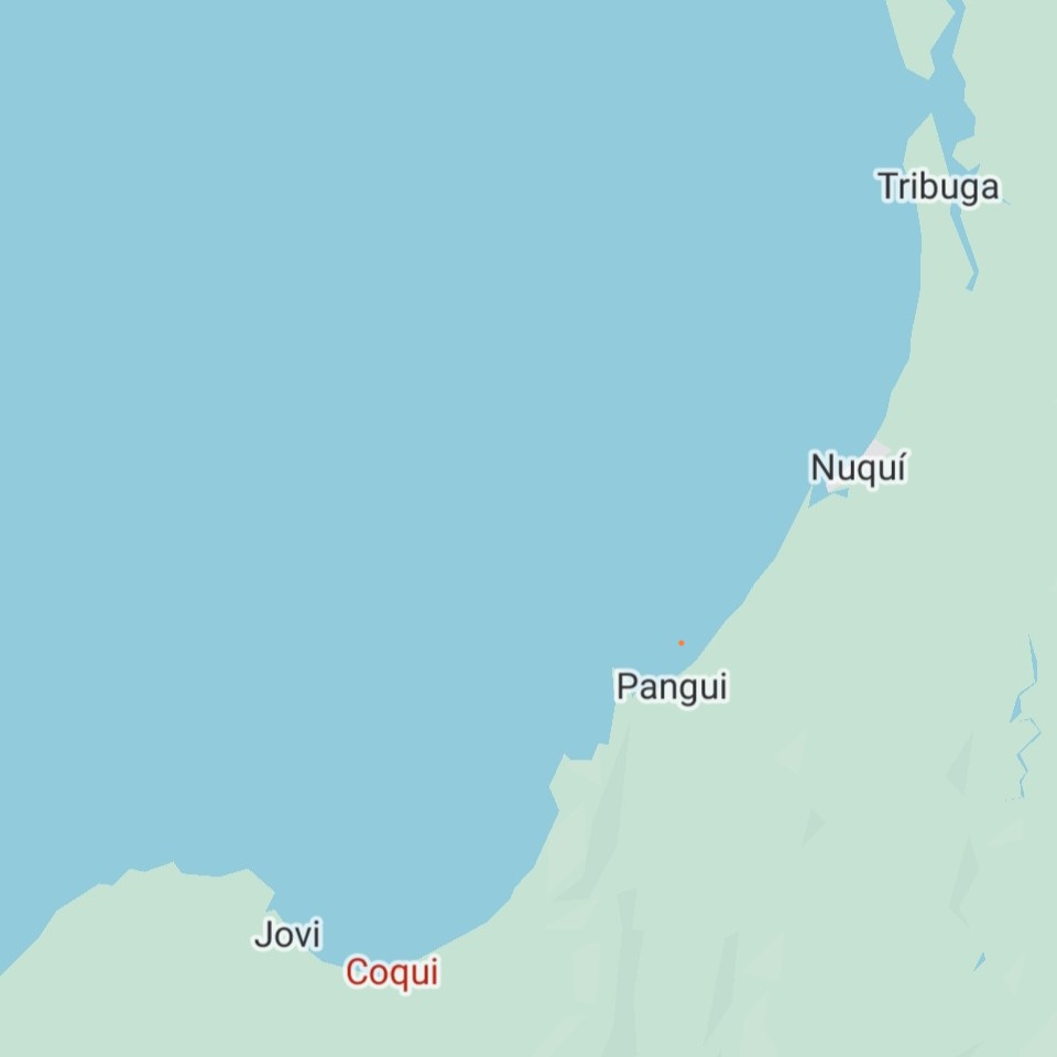 BALLENAS Y BIODIVERSIDAD EN COQUI, NUQUÍ-POSADA NATIVA