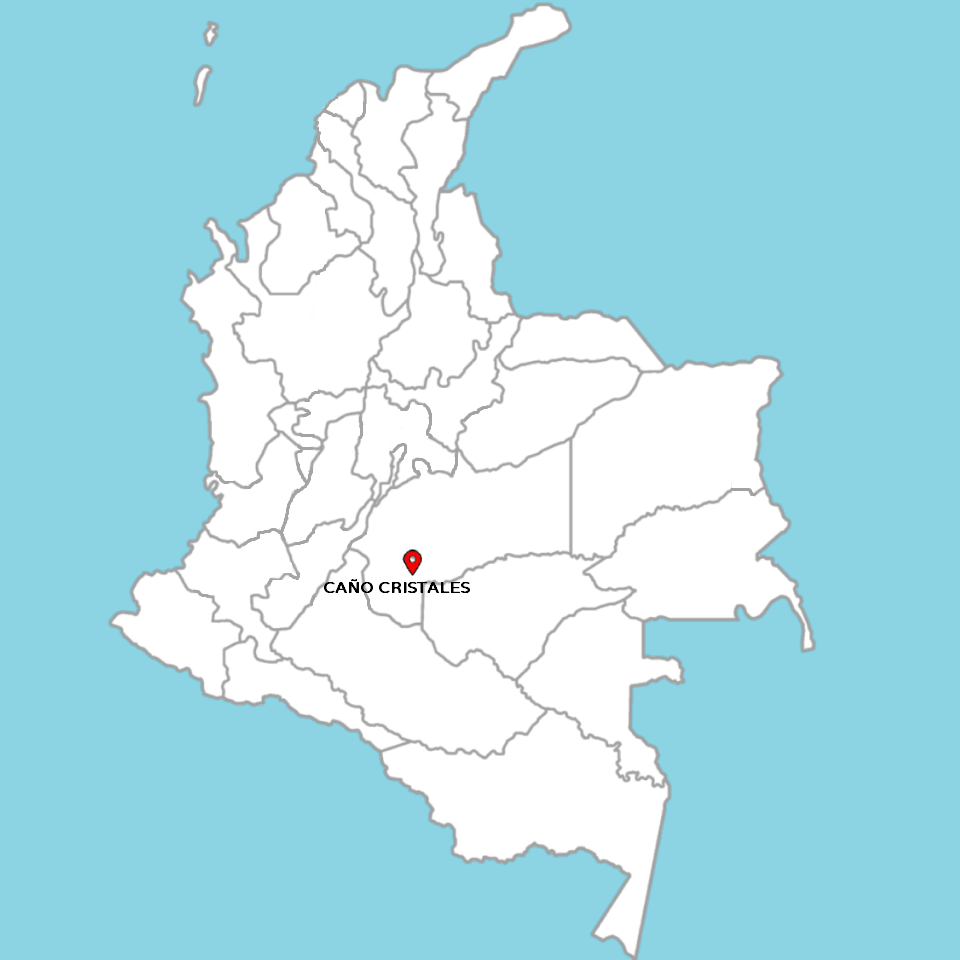 DISCOVER CAÑO CRISTALES, STAY AT PUNTO VERDE HOTEL IN LA MACARENA; 3 DAYS