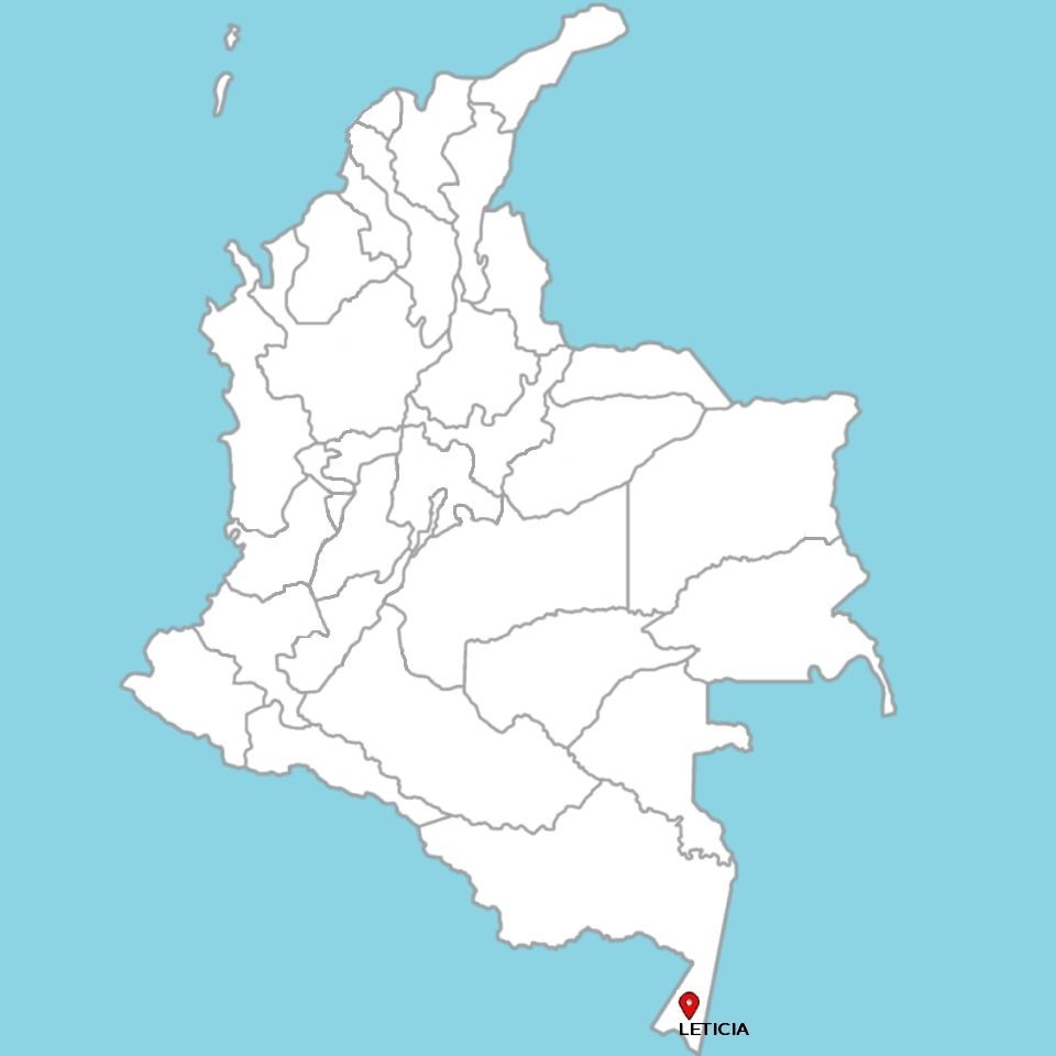 AVENTURA EN EL AMAZONAS: LA SELVA, LETICIA Y PUERTO NARIÑO; 5 NOCHES