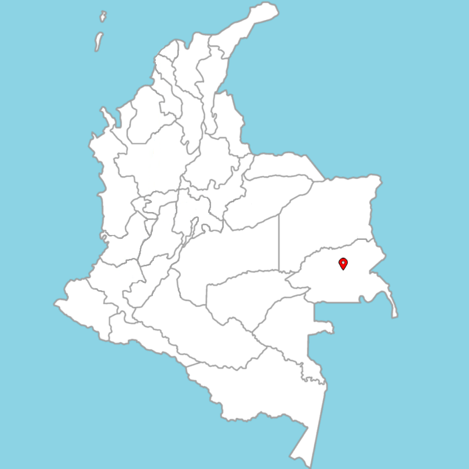 AN AFTERNOON WITH "EL LLANERAZO" IN SAN LUIS DE PALENQUE, CASANARE -20%