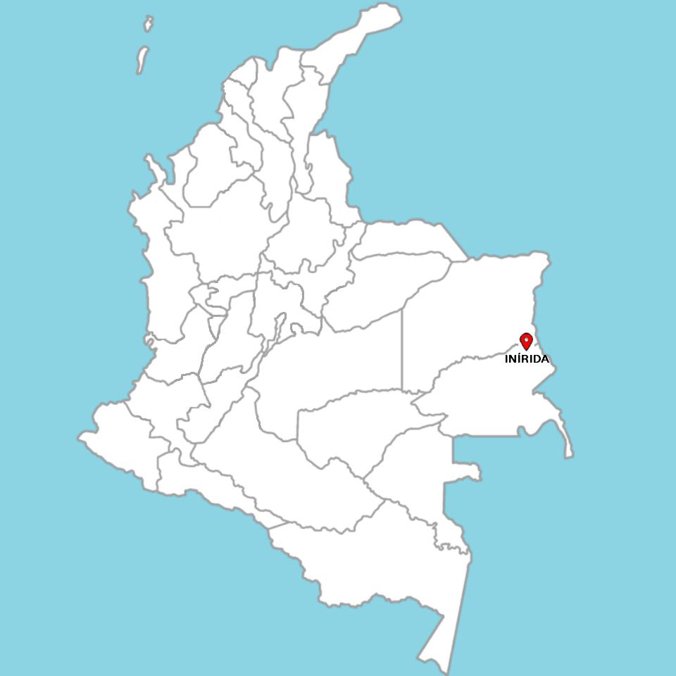 VISIT LAS BRUJAS LAGOON DEPARTING FROM PUERTO INIRIDA