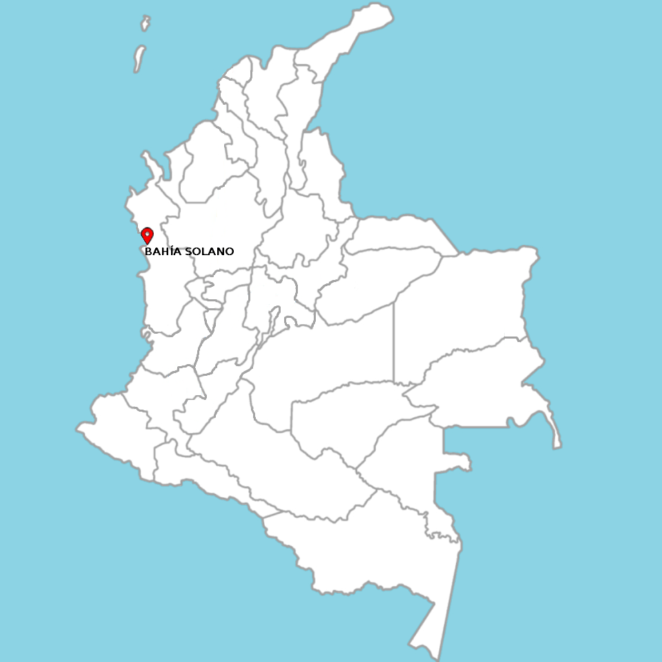 MAGIC PACIFIC PLAN